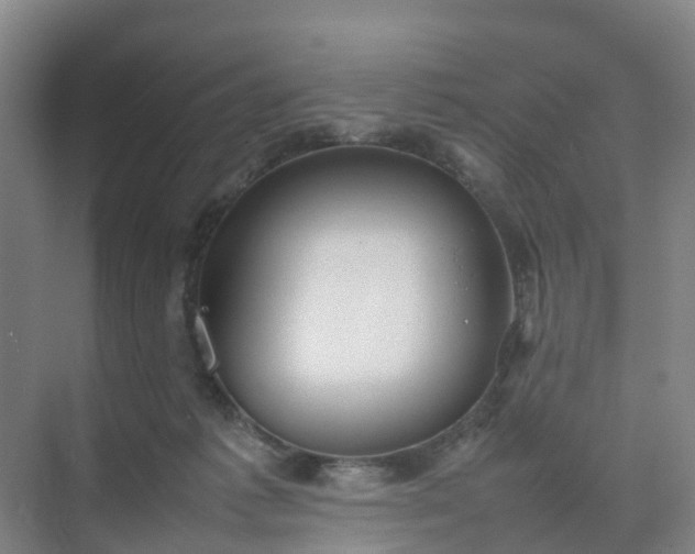 X0000074950221200609152039