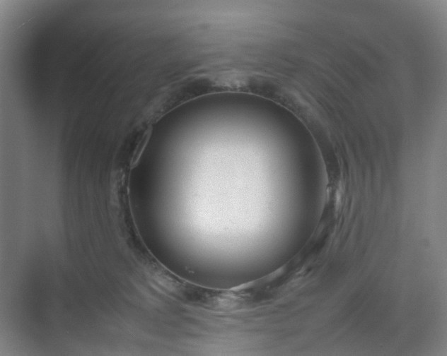 X0000074950229200609152039