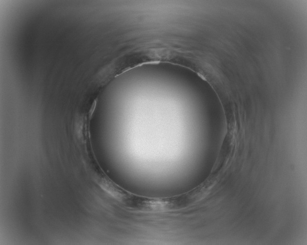 X0000074950233200609152039