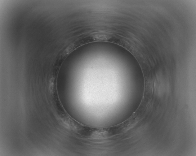 X0000074950271200609152038