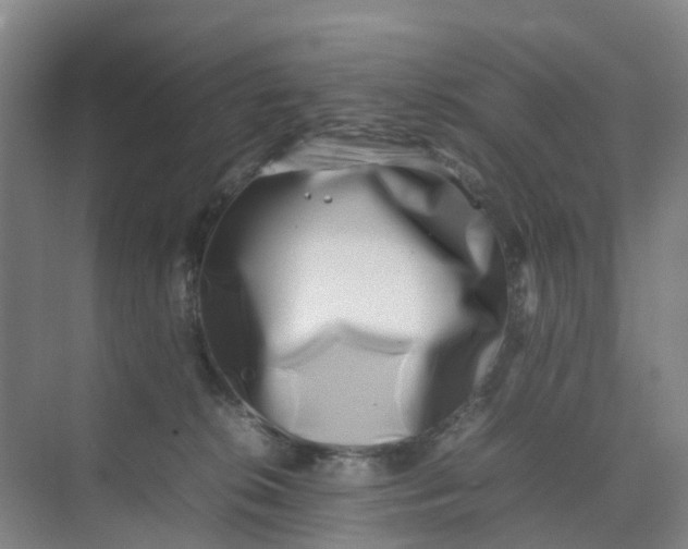 X0000074950276200609152038