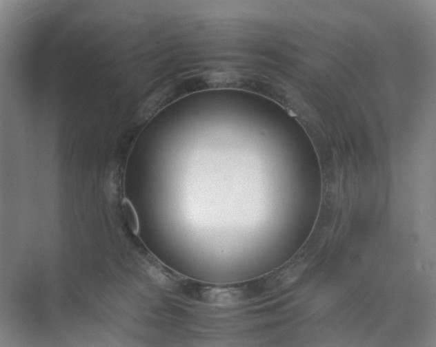 X0000074950277200609152038