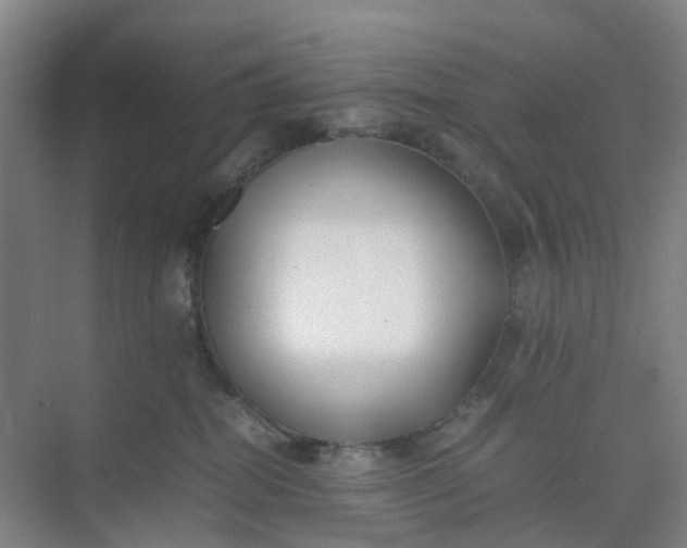 X0000074950282200609152038