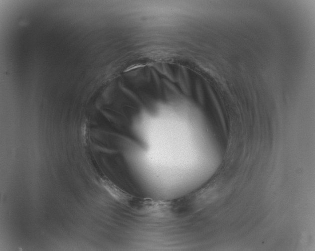 X0000074950288200609152039