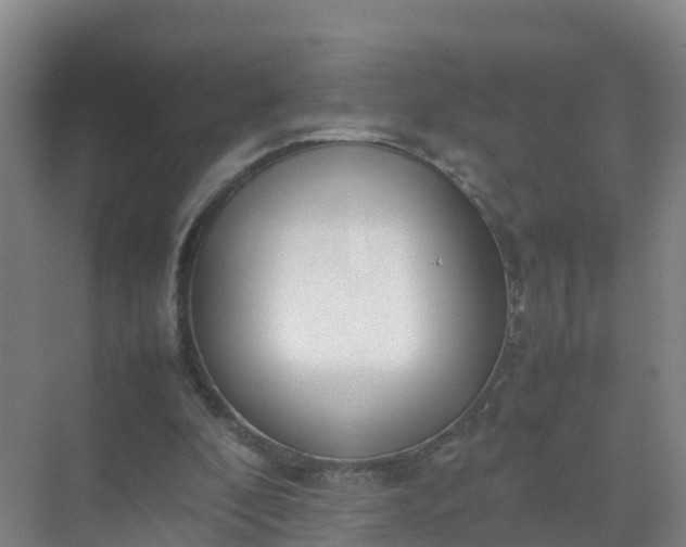 X0000074950296200609152038