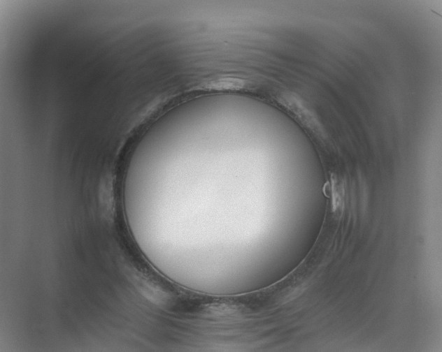 X0000074950300200609152038