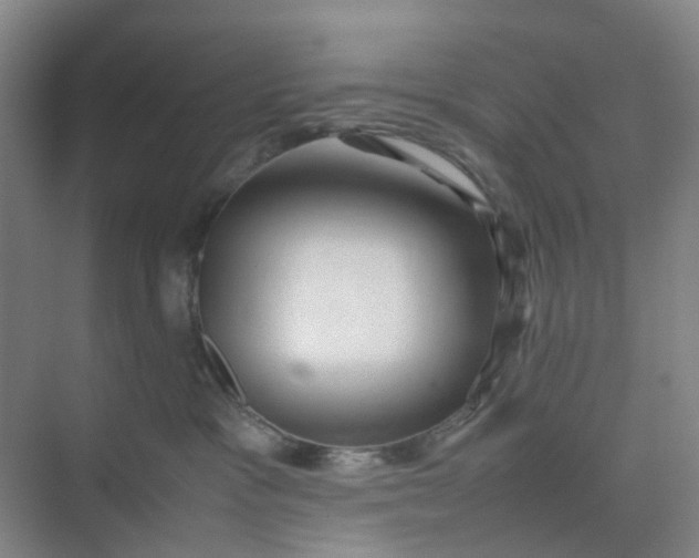 X0000074950333200609152037