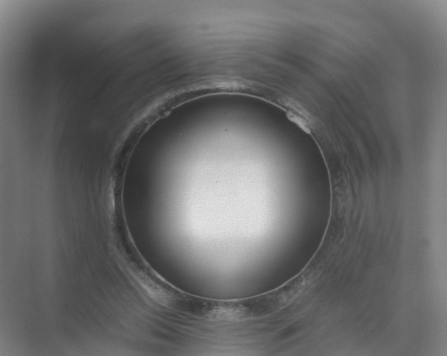 X0000074950350200609152036