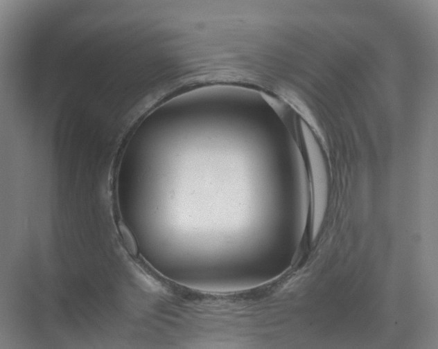 X0000074950389200609152036