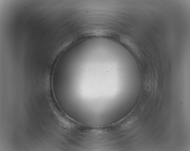 X0000074950394200609152036