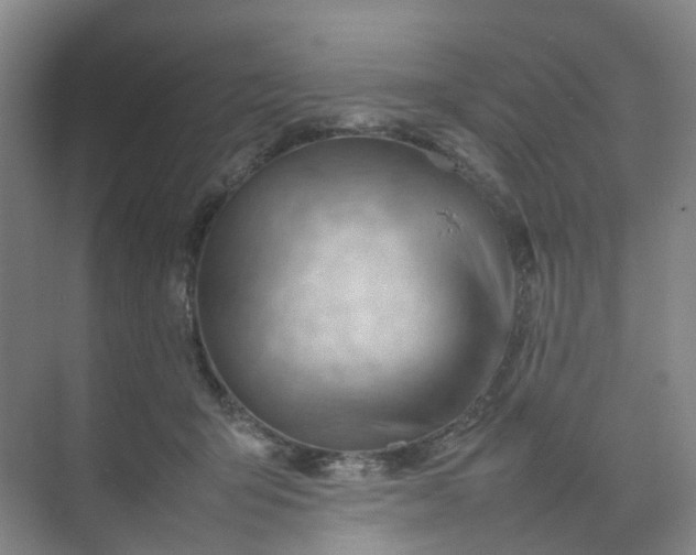 X0000074950415200609152036