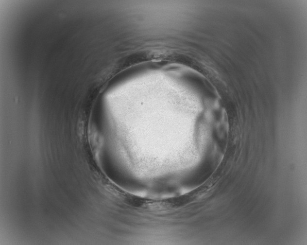 X0000074950417200609152036