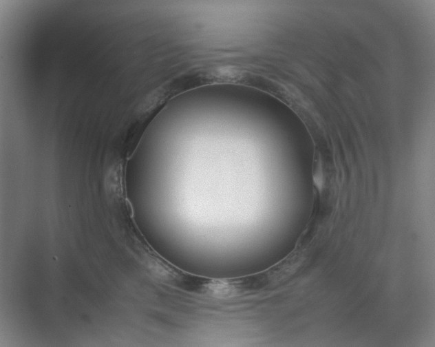 X0000074950425200609152035