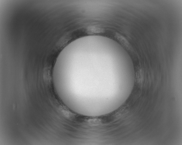 X0000074950426200609152035