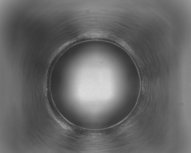 X0000074950438200609152035