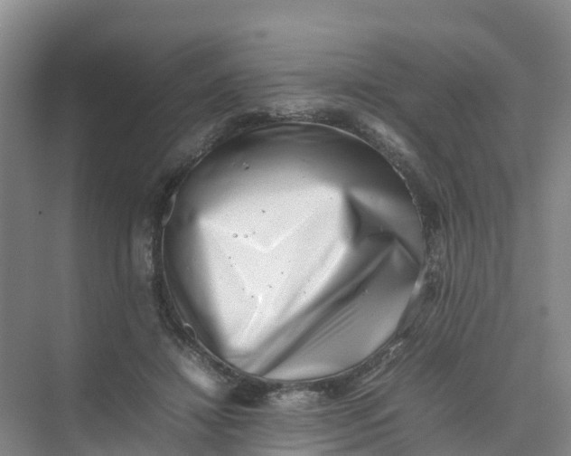 X0000074950452200609152035