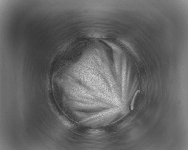 X0000074950453200609152035
