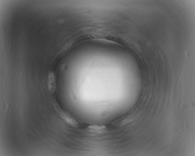X0000074950480200609152035
