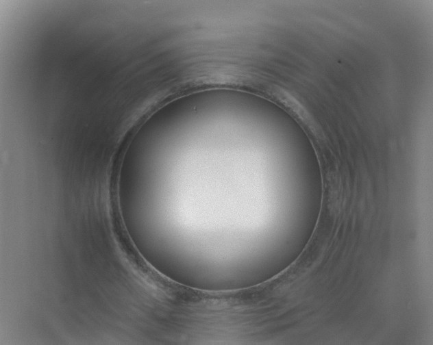 X0000074950482200609152034