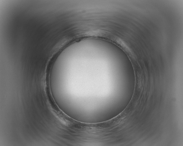 X0000074950486200609152034