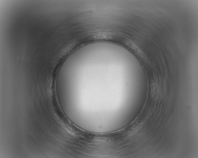 X0000074950490200609152034