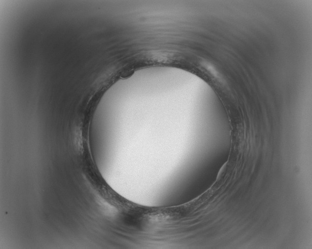 X0000074950500200609152034