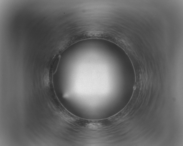 X0000074950508200609152034