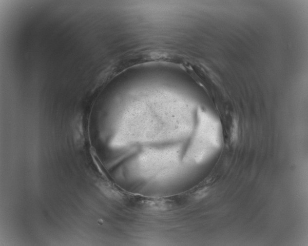 X0000074950524200609152034