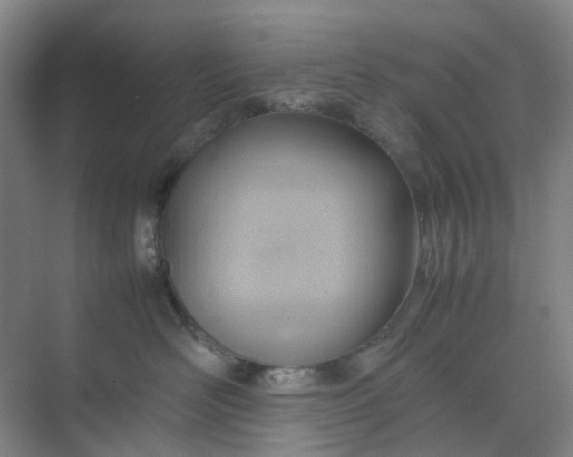 X0000074950526200609152034