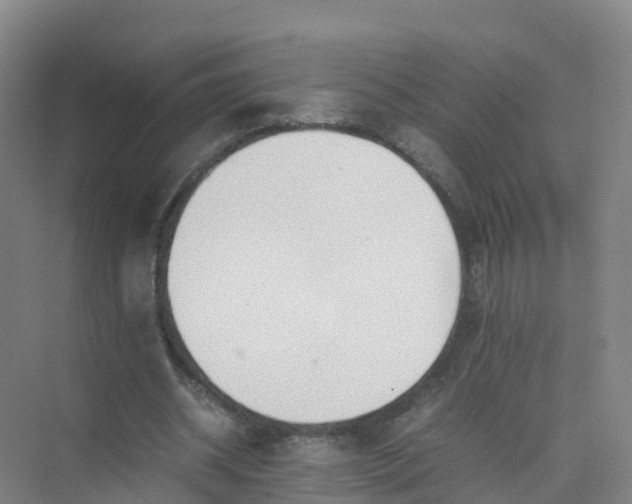 X0000074950534200609152033