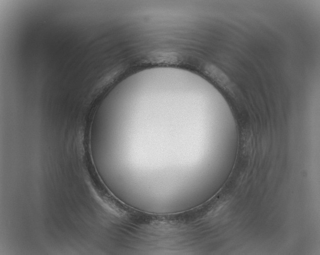 X0000074950538200609152033
