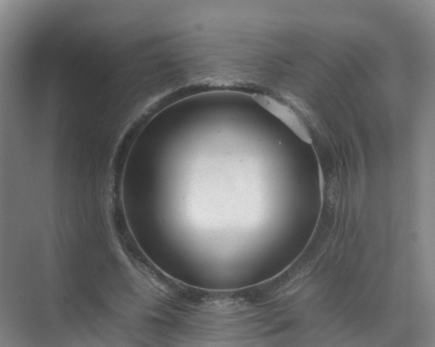 X0000074950540200609152033