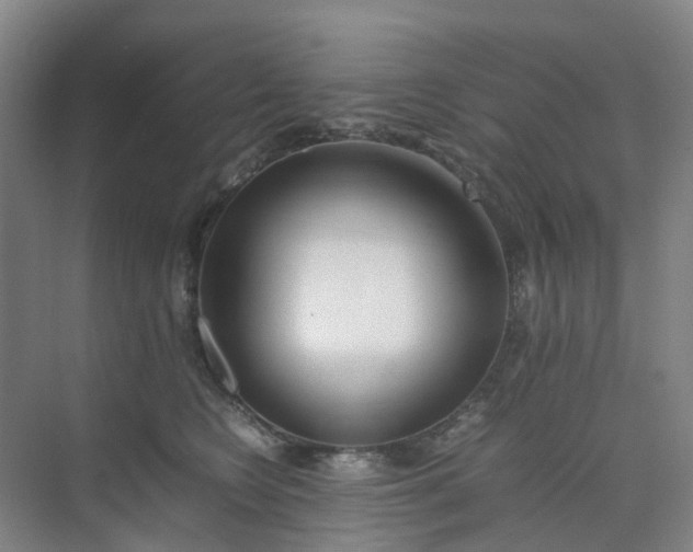 X0000074950566200609152033