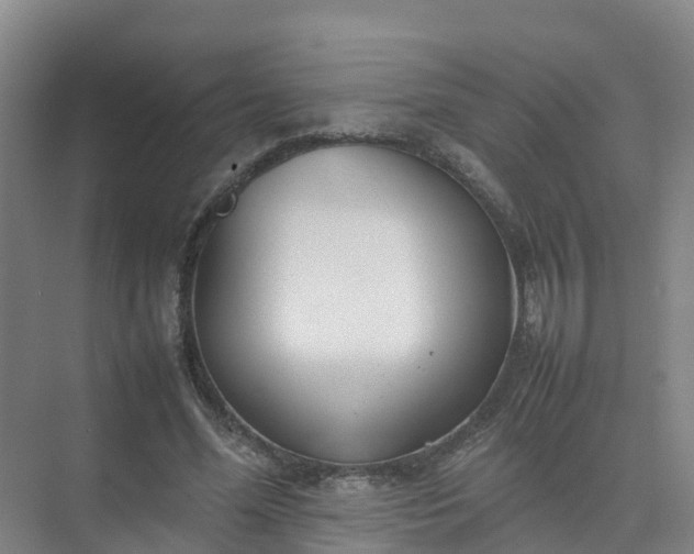 X0000074950588200609152033