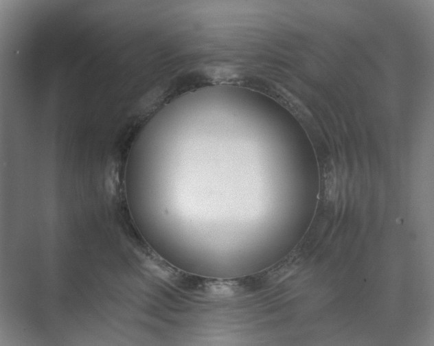 X0000074950618200609152032