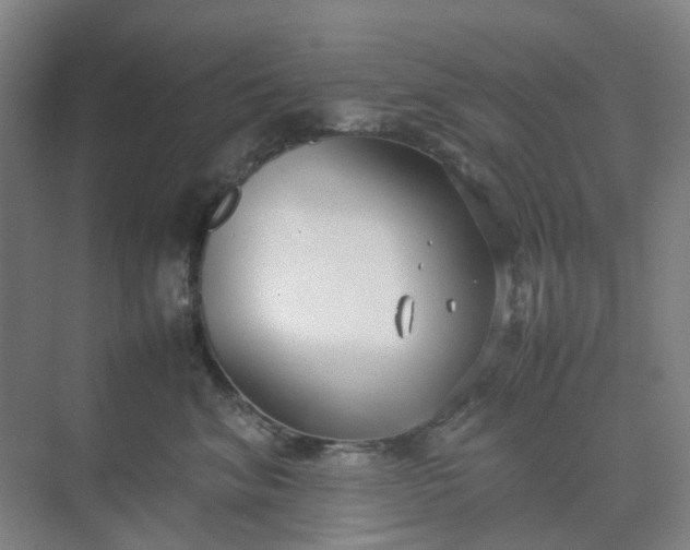 X0000074950620200609152032
