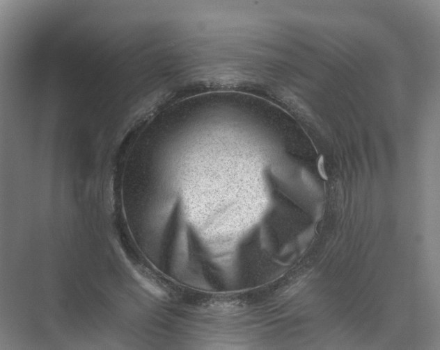 X0000074950638200609152031