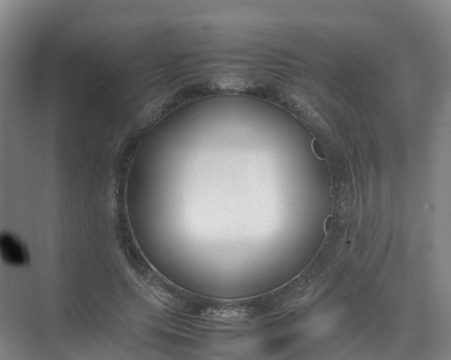 X0000074950639200609152031