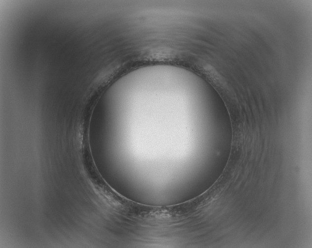 X0000074950640200609152031