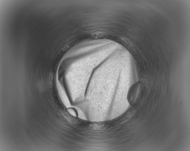 X0000074950660200609152032
