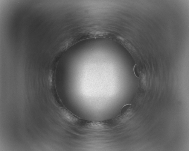 X0000074950668200609152032