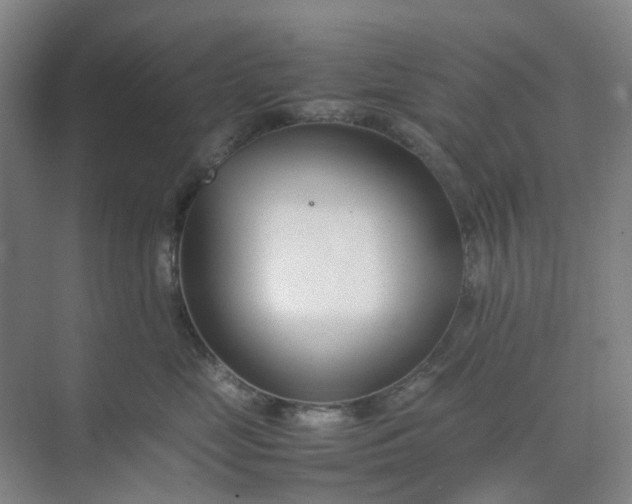X0000074950669200609152032