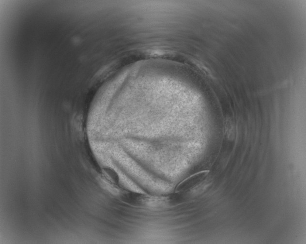 X0000074950670200609152032