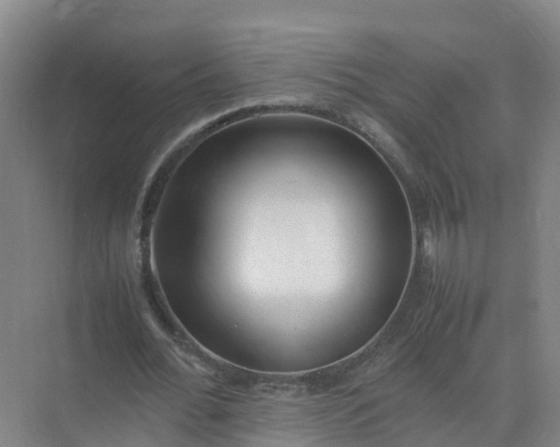 X0000074950676200609152031