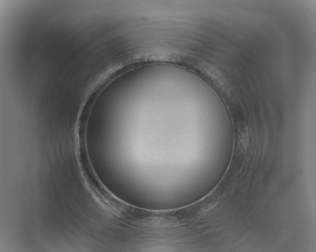 X0000074950678200609152031