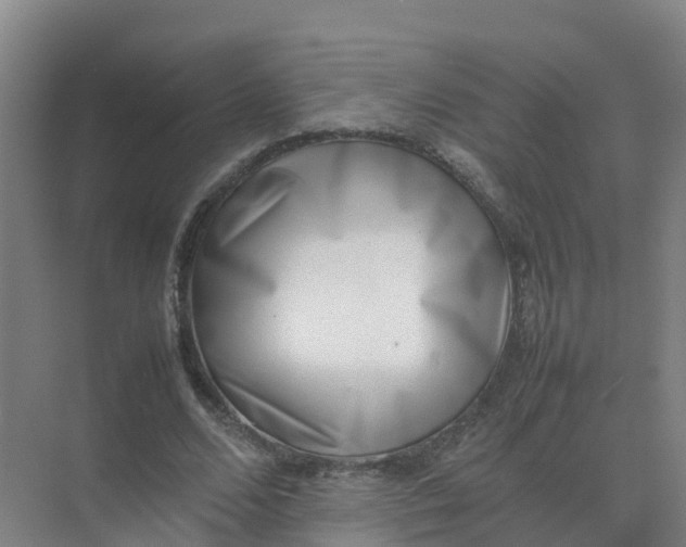 X0000074950680200609152031