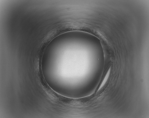 X0000074950685200609152031