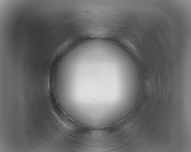 X0000074950686200609152031