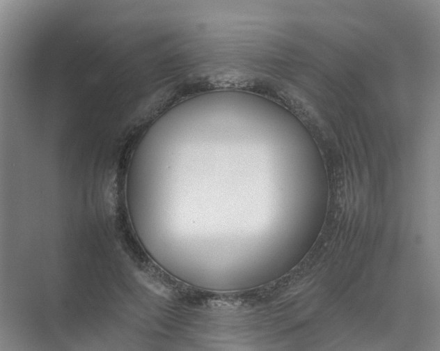 X0000074950690200609152031