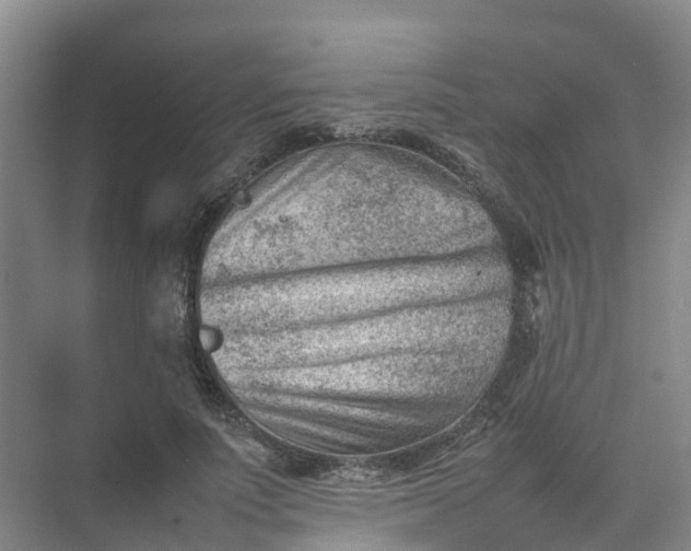 X0000074950691200609152031